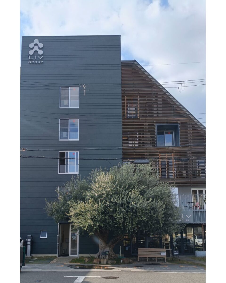 11/20は『リヴの日』