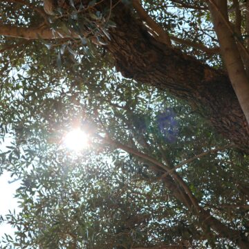 半期に1度の全社会議「キックオフミーティング」を開催しました